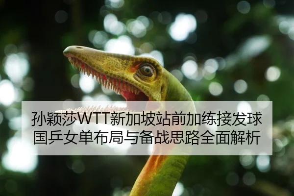 孙颖莎WTT新加坡站前加练接发球 国乒女单布局与备战思路全面解析